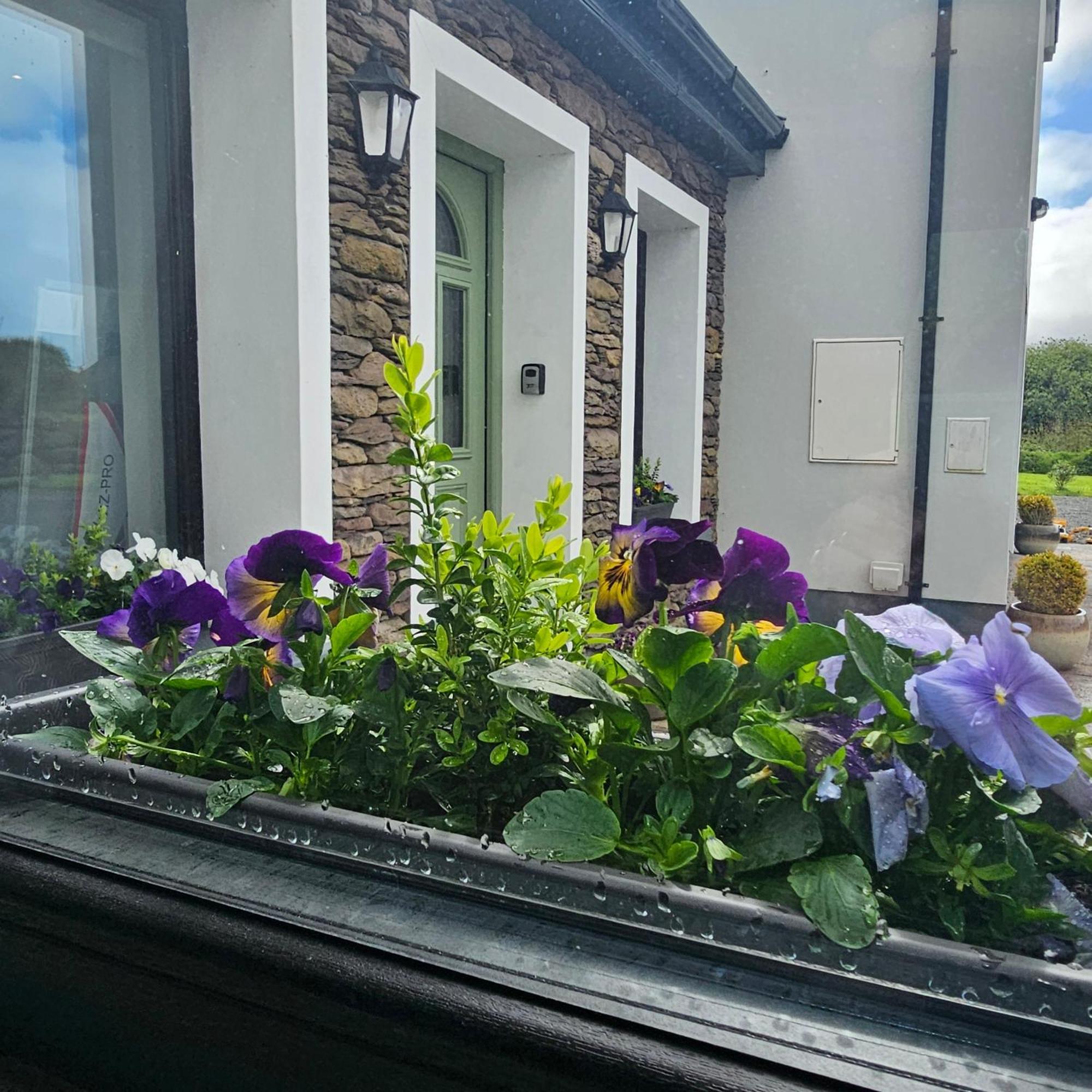 Apartamento The Cé Hideout Tralee Exterior foto